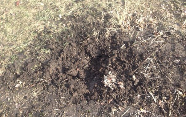 Жителі Луганська пишуть, що у місті пролунали два вибухи Жителі Луганська пишуть, що у місті пролунали два вибухи