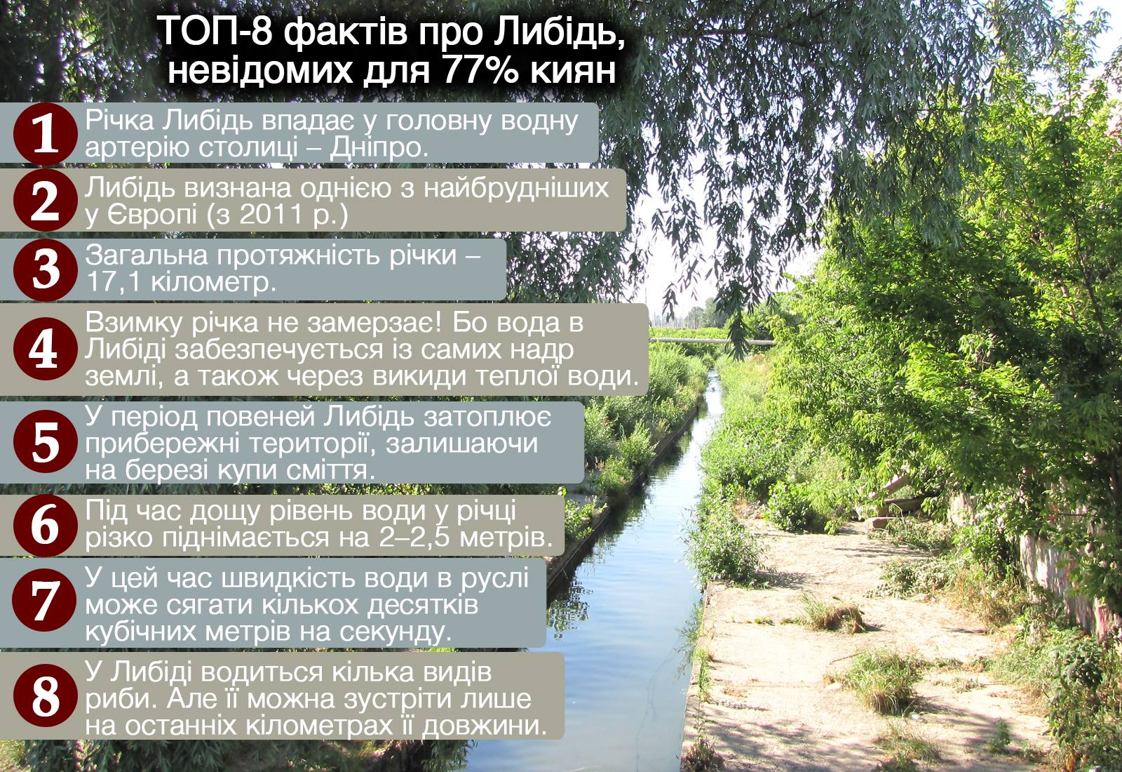 У суботу в Києві активісти прибиратимуть річку Либідь