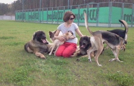 Дончане открыли в столице школу взаимопонимания с домашними животными