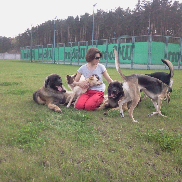 Дончане открыли в столице школу взаимопонимания с домашними животными