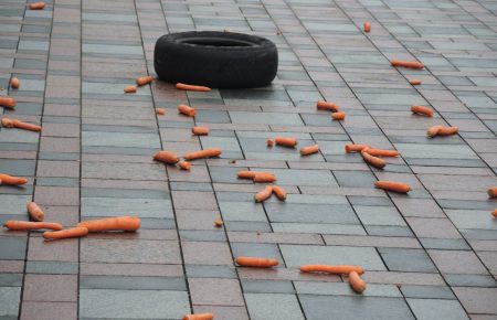 На мітингу активіст-кролик закидав морквою будівлю парламенту