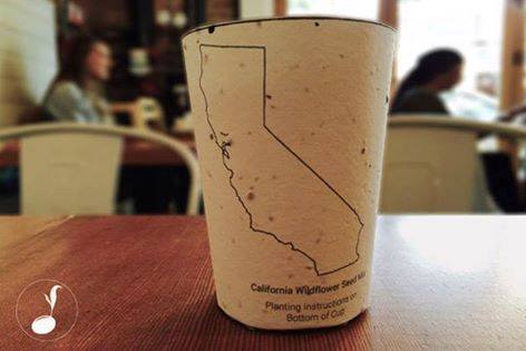 В Каліфорнії придумали стаканчики для кави, з яких проростатимуть рослини
