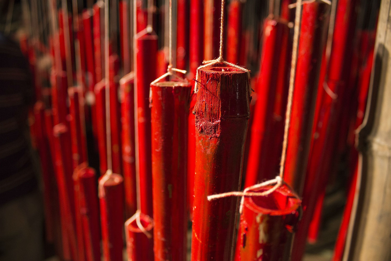 Як смакує бамбук і чому в Індонезії курчата кольорові, — Юлія Федорович