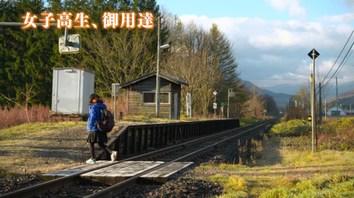 В Японії три роки залізнична станція працює для однієї пасажирки 
