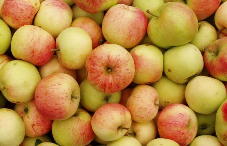 Прикордонники не пустили в бік Донецька 3 тонни яблук