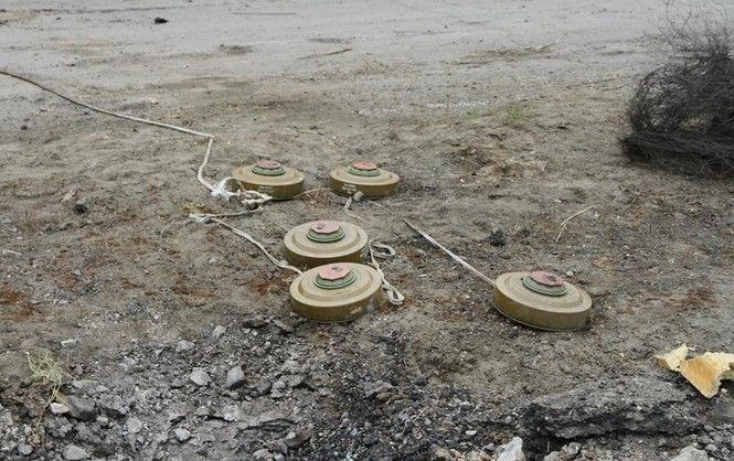 Як мінімум 30 тисяч гектарів Донбасу всіяні вибухонебезпечними предметами – ООН