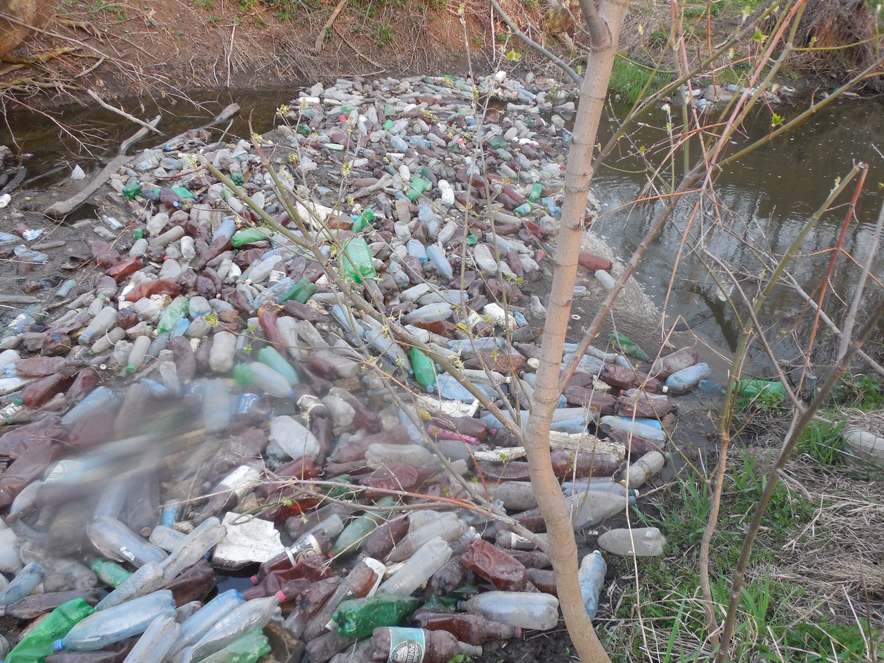 Луганці показали, як очистили річку Вільхівку байкери «Нічні вовки»