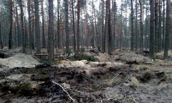 Волинські селяни видобувають бурштин, працюючи на рівненських «панів» Волинські селяни видобувають бурштин, працюючи на рівненських «панів»