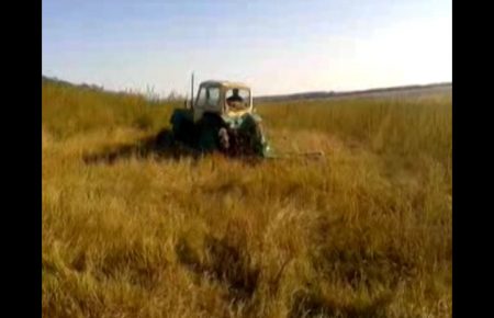 В Костянтинівському районі перепахали трактором поле коноплі