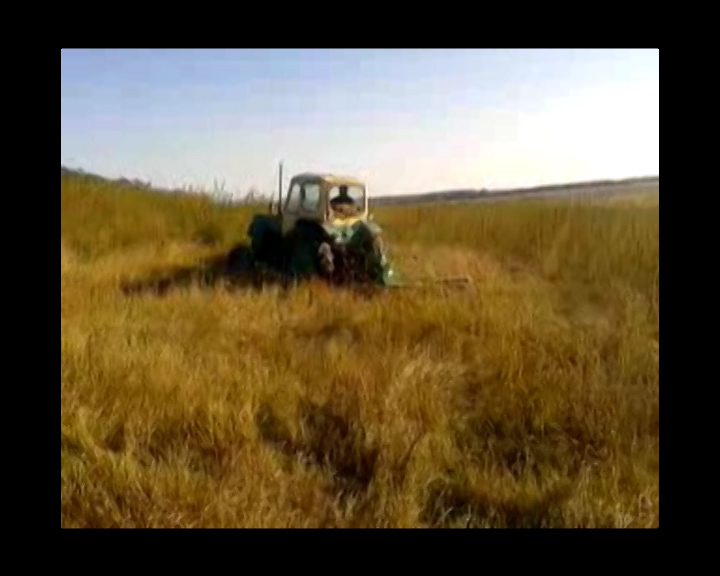 В Костянтинівському районі перепахали трактором поле коноплі