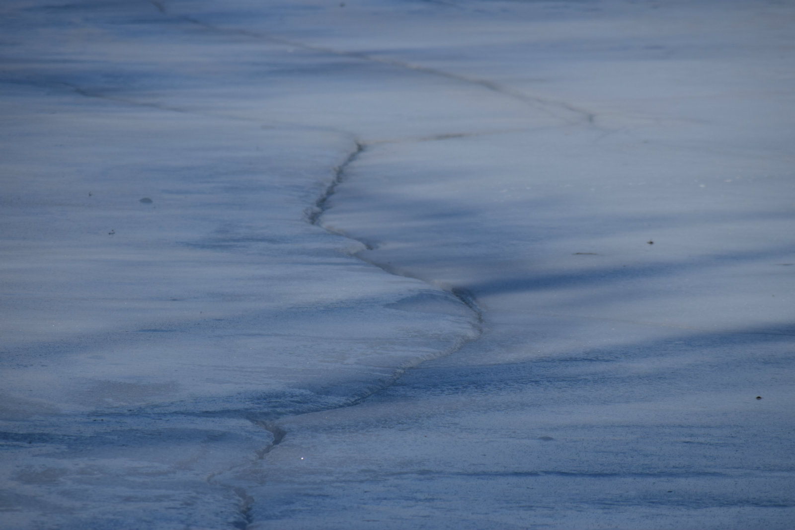 У Сєвєродонецьку п'ятеро дітей провалились під лід