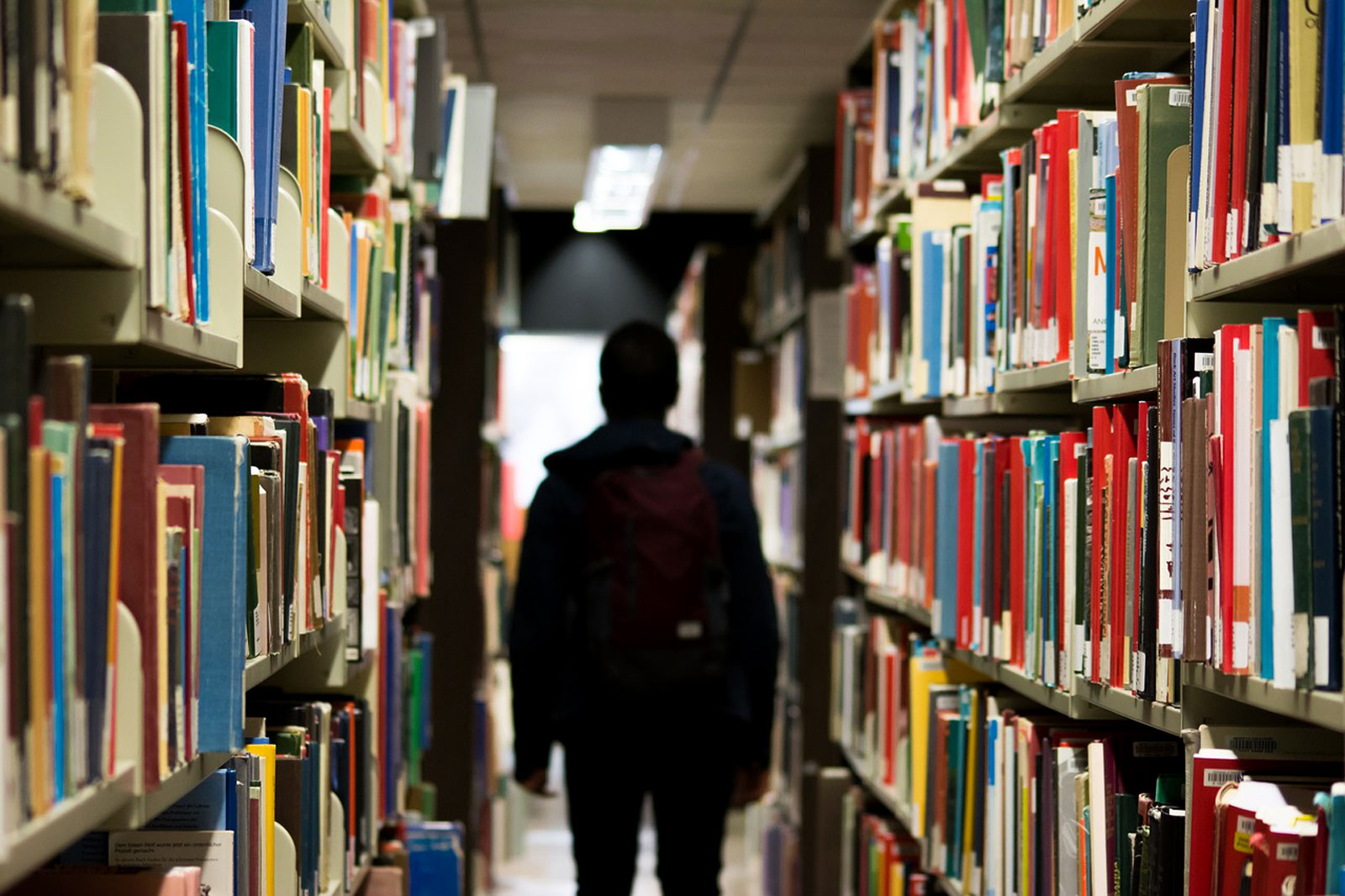 Чому сучасним університетам потрібні бібліотеки та як підтримати їх у вишах-переселенцях