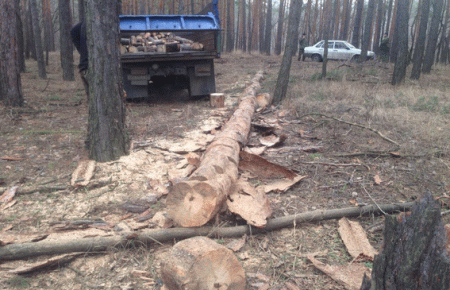 Поліцейські Луганщини шукають порушників у лісах