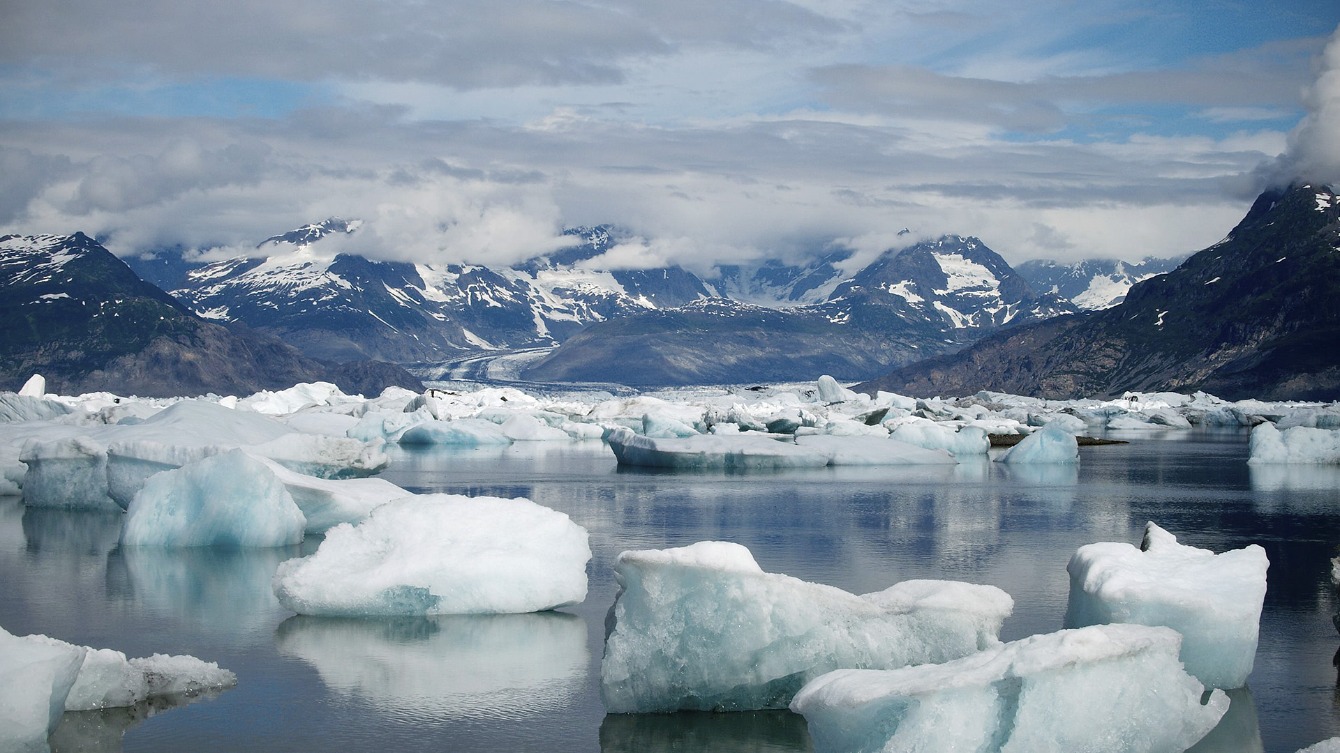 Танення льодовиків Аляски — один з основних вкладників у зростання рівня моря, — вчені