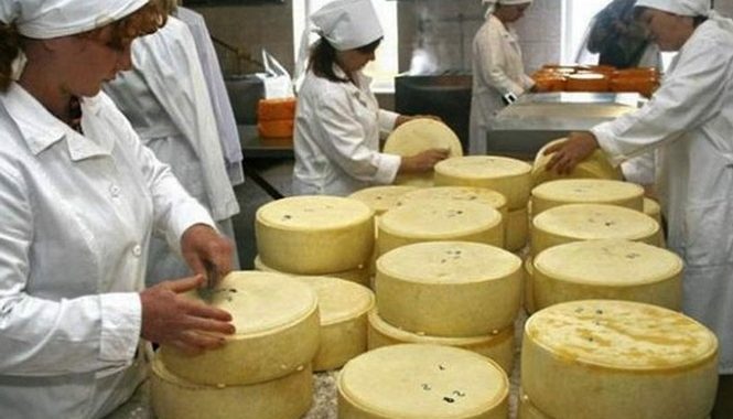 Росія посилить нагляд за імпортом сирів двох українських підприємств Росія посилить нагляд за імпортом сирів двох українських підприємств