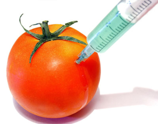 Майбутнє — за ГМО?