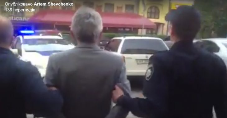 Напад на дружину Олександра Турчинова. МВС опублікувало відео затримання Напад на дружину Олександра Турчинова. МВС опублікувало відео затримання