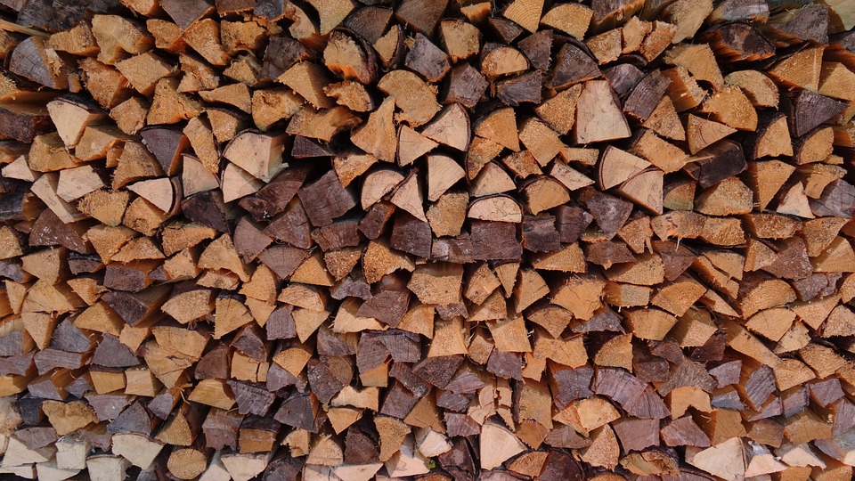 Цінні породи дерев вивозять за кордон під виглядом дров, – Лариса Ступак