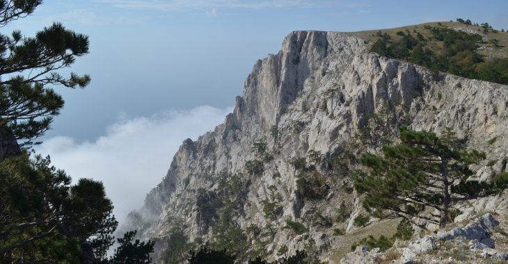 Зниклого кримського татарина знайшли мертвим під Ай-Петрі Зниклого кримського татарина знайшли мертвим під Ай-Петрі