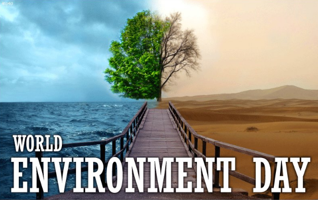 15 еко-ініціатив, які можна підтримати в День охорони довкілля і не тільки