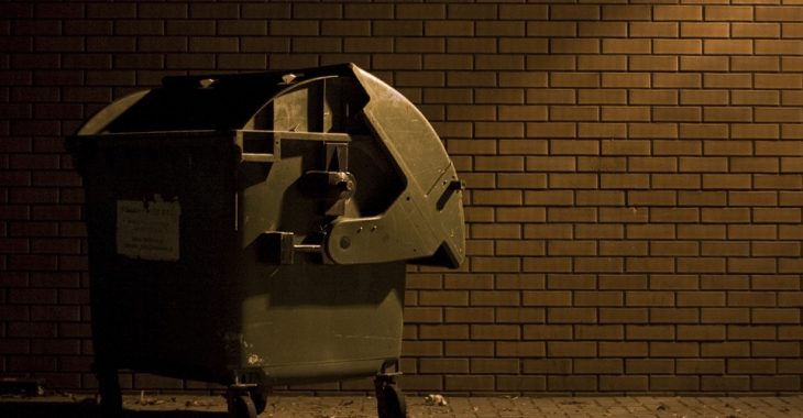 До Києва зі Львова завезли 700 тонн сміття для спалювання — комунальники До Києва зі Львова завезли 700 тонн сміття для спалювання — комунальники