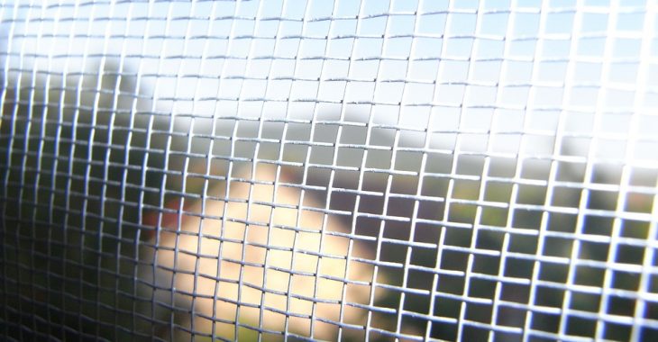 В Іспанії арештували мафію — серед підозрюваних 1 українець, 6 росіян В Іспанії арештували мафію — серед підозрюваних 1 українець, 6 росіян