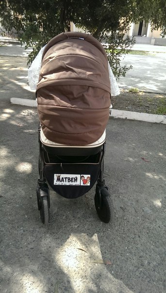 В «ЛНР» пропонують чіпляти «держномери» на дитячі візки