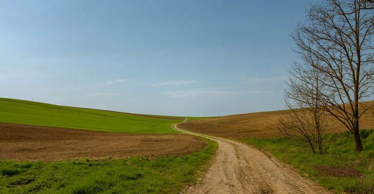 Боєць ЗСУ загинув від міни на нещодавно відвойованій в АТО території Боєць ЗСУ загинув від міни на нещодавно відвойованій в АТО території