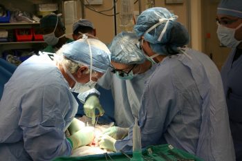 В Україні є всі умови для чорного ринку органів, — Ольга Богомолець В Україні є всі умови для чорного ринку органів, — Ольга Богомолець