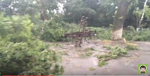 Як постраждали різні райони Луганська від урагану, відео