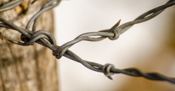 У підконтрольному бойовикам «ДНР» селищі двоє дітей загинули від струму ЛЕП У підконтрольному бойовикам «ДНР» селищі двоє дітей загинули від струму ЛЕП