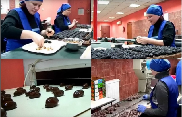 Як українці відкрили в Угорщині шоколадну фабрику