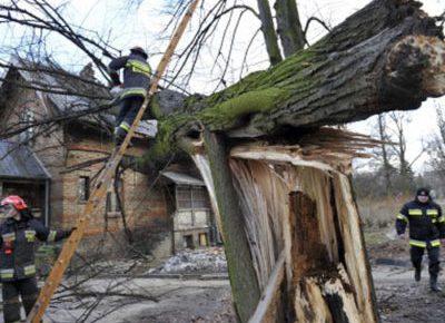 Які наслідки жахливого буревію в Ужгороді? Відео