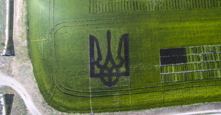 Фермери Херсонщини висіяли великий тризуб і встановили рекорд Фермери Херсонщини висіяли великий тризуб і встановили рекорд