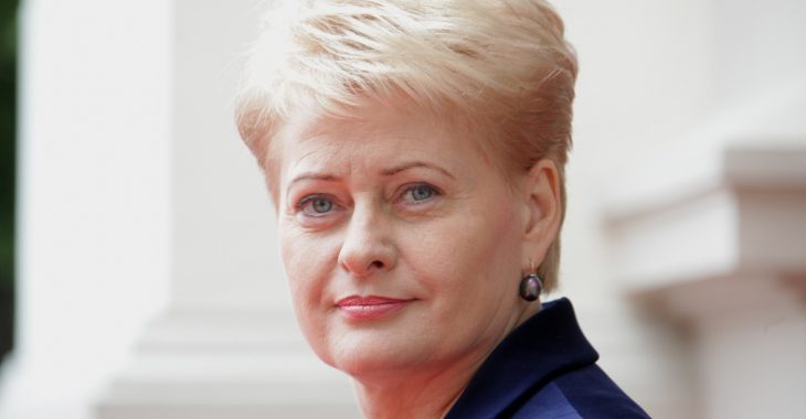 «Литва з вами, слава Україні!» — Грибаускайте привітала українців, відео «Литва з вами, слава Україні!» — Грибаускайте привітала українців, відео
