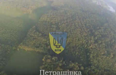 Як на Вінничині зникають ліси: відео з висоти