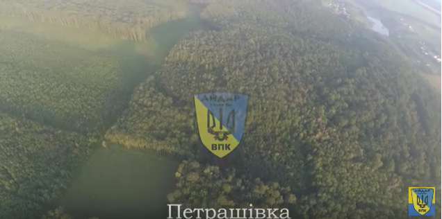 Як на Вінничині зникають ліси: відео з висоти