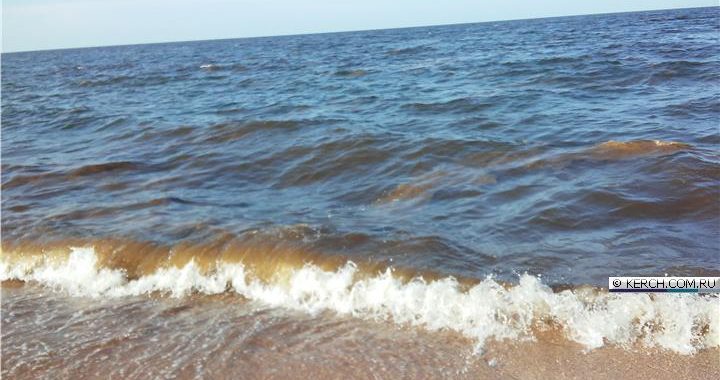Азовське море в районі села Курортне покрилося жовтими плямами, Фото Азовське море в районі села Курортне покрилося жовтими плямами, Фото