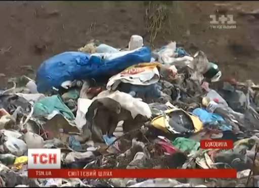 Селяни з Буковини скаржаться, що їм підкинули тони сміття зі Львова, відео