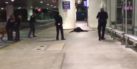 В аеропорту Лос-Анжелеса оголосили евакуацію та затримали "Зорро" - відео