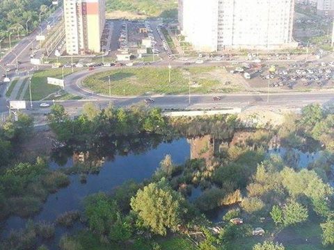 Київрада зможе врятувати від забудови озеро Качине на Позняках — відео