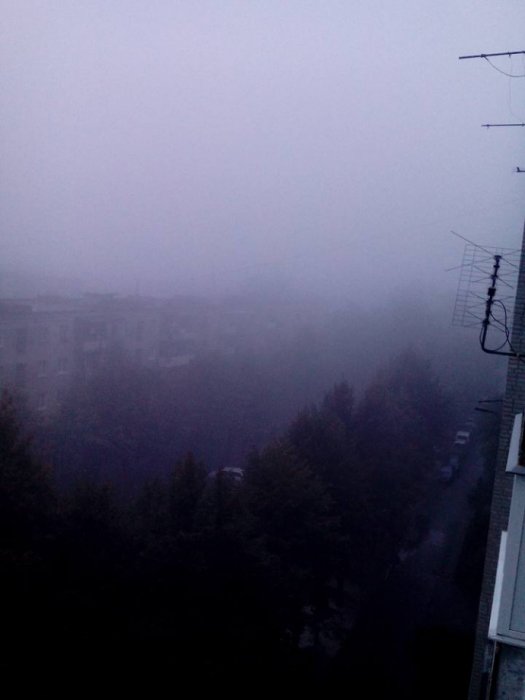 Львів занурився у смог - горять торф'яники - фото