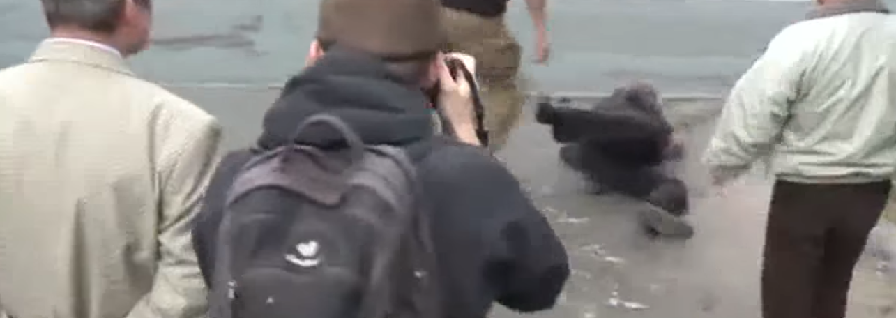 З’явився запис, як під посольством РФ у Києві побили росіянина — відео