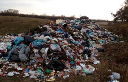 Тонни сміття зі Львова відвантажили біля траси на Житомирщині — фото