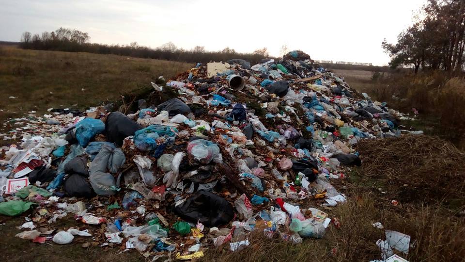 Тонни сміття зі Львова відвантажили біля траси на Житомирщині — фото