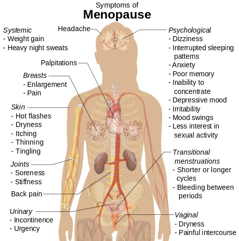 менопауза