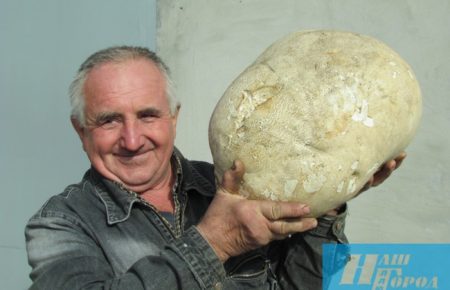 У Запоріжжі знайшли гриб-гігант — фоторепортаж