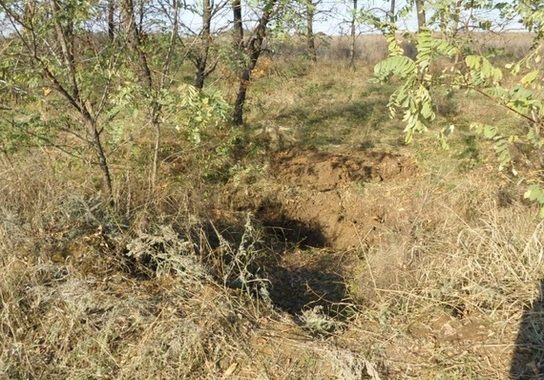 З'явились фото з місця масового поховання людей в "ЛНР" З'явились фото з місця масового поховання людей в "ЛНР"
