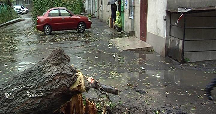 В Одесі негода валить крани та трощить автівки — фото В Одесі негода валить крани та трощить автівки — фото