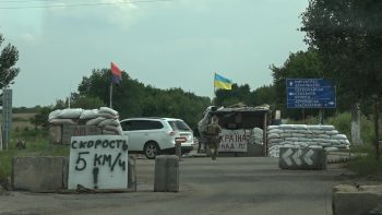 В «серой зоне» увеличились объемы незаконной вырубки деревьев — активист В «серой зоне» увеличились объемы незаконной вырубки деревьев — активист